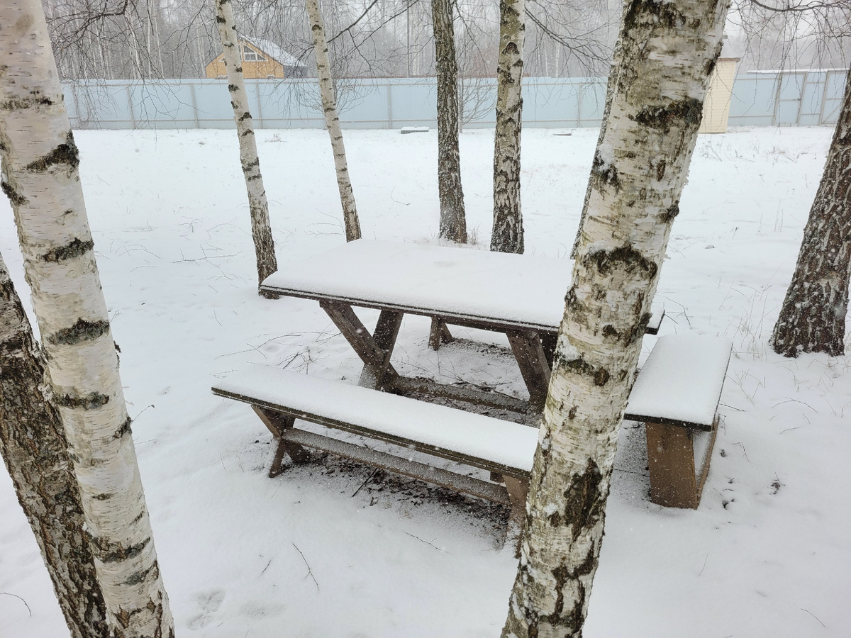 Летом иногда здесь обедаем или ужинаем