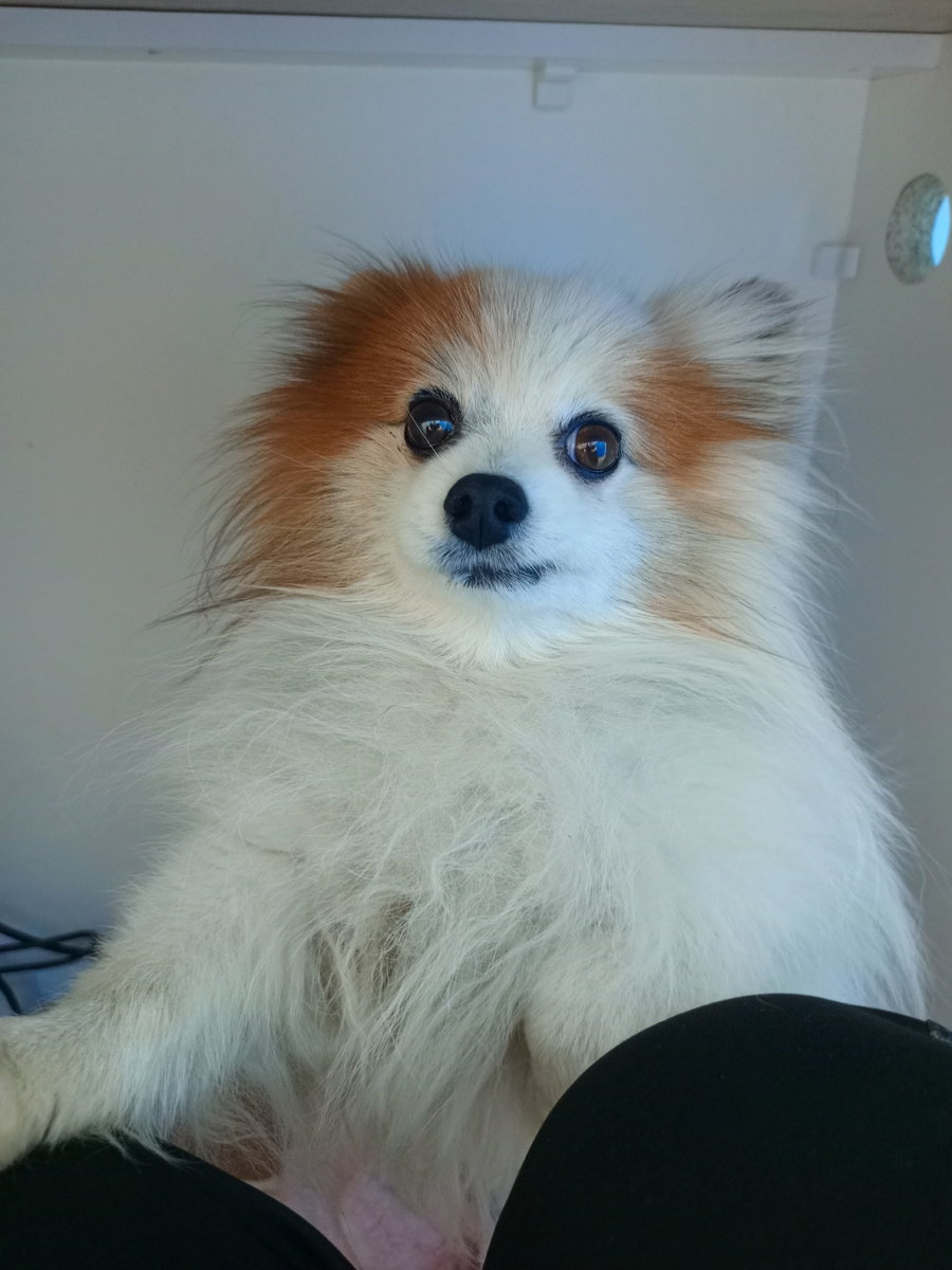 А поделиться?