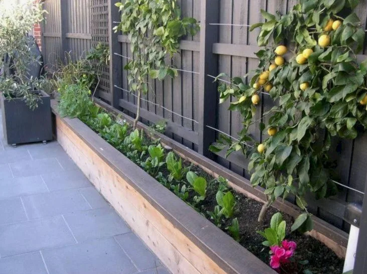 Ландшафт на маленьком участке. Яндекс картинки.