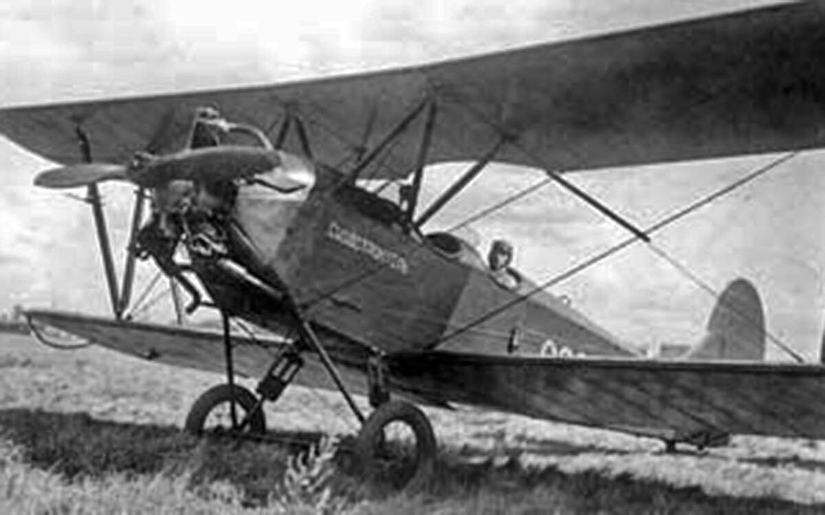 Авиационная фанера использовалась для обшивки фюзеляжей самолетов По-2Фото: airwar.ru