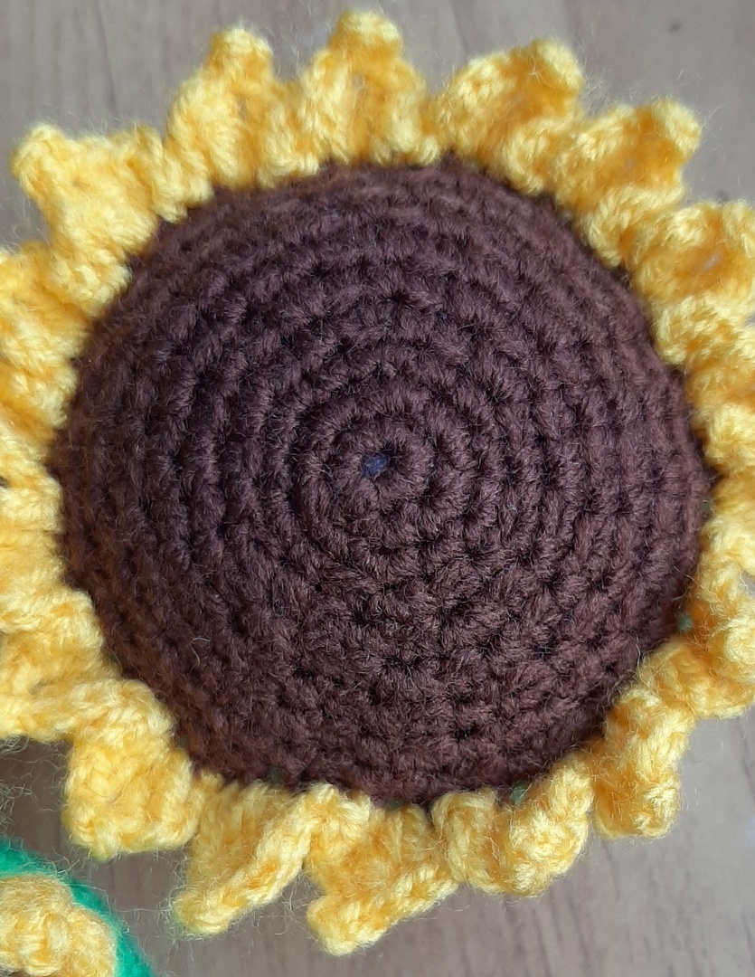 Соцветие подсолнуха