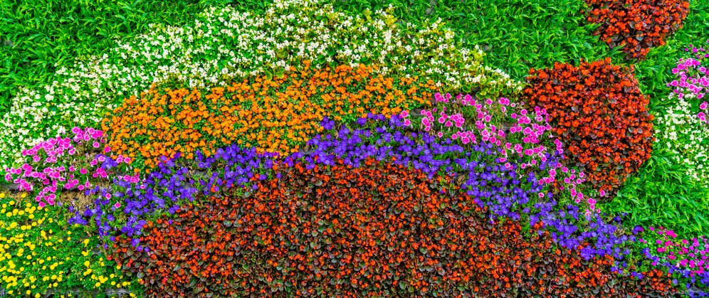 Designed by Freepik. Источник: www.freepik.com