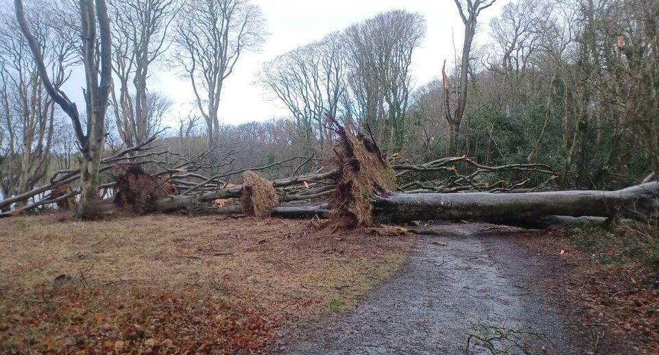    Cover Images / Global Look Press