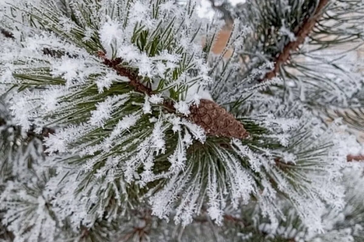    Морозная погода и снегопады ожидаются в Свердловской области