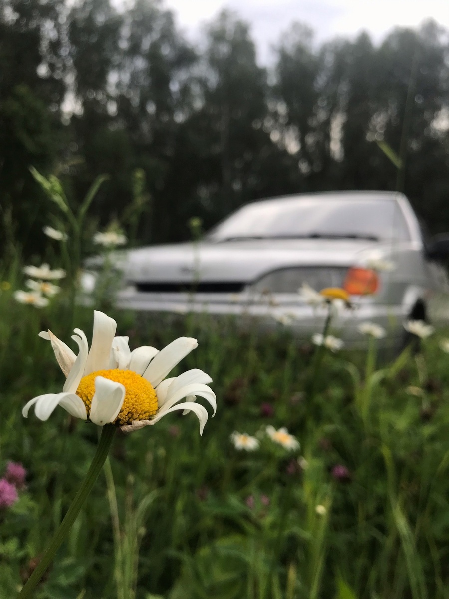 Одна из наших ласточек, которая выручает не один уже год.  