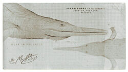 Афанерамма.