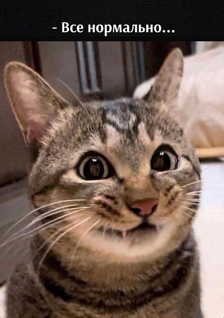 источник Яндекс-картинки