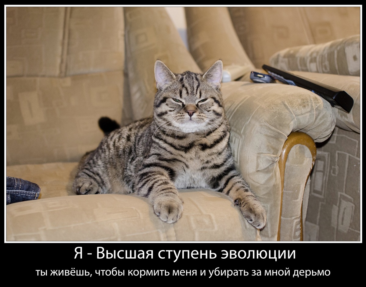 источник Яндекс-картинки