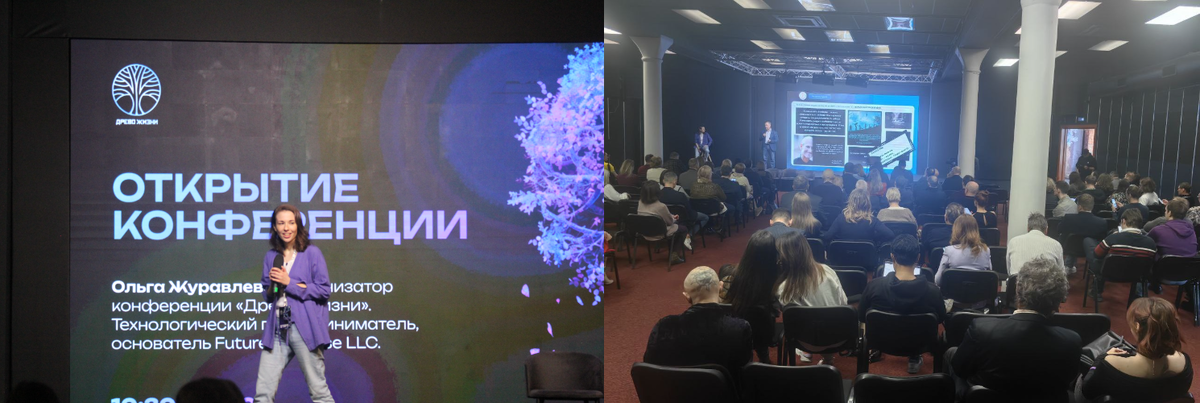 Ольга Журавлева открывает конференцию, Михаил Мельцер выступает с докладом.