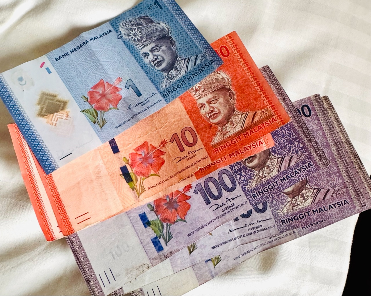 Малазийские ринггиты - с цветком на банкноте