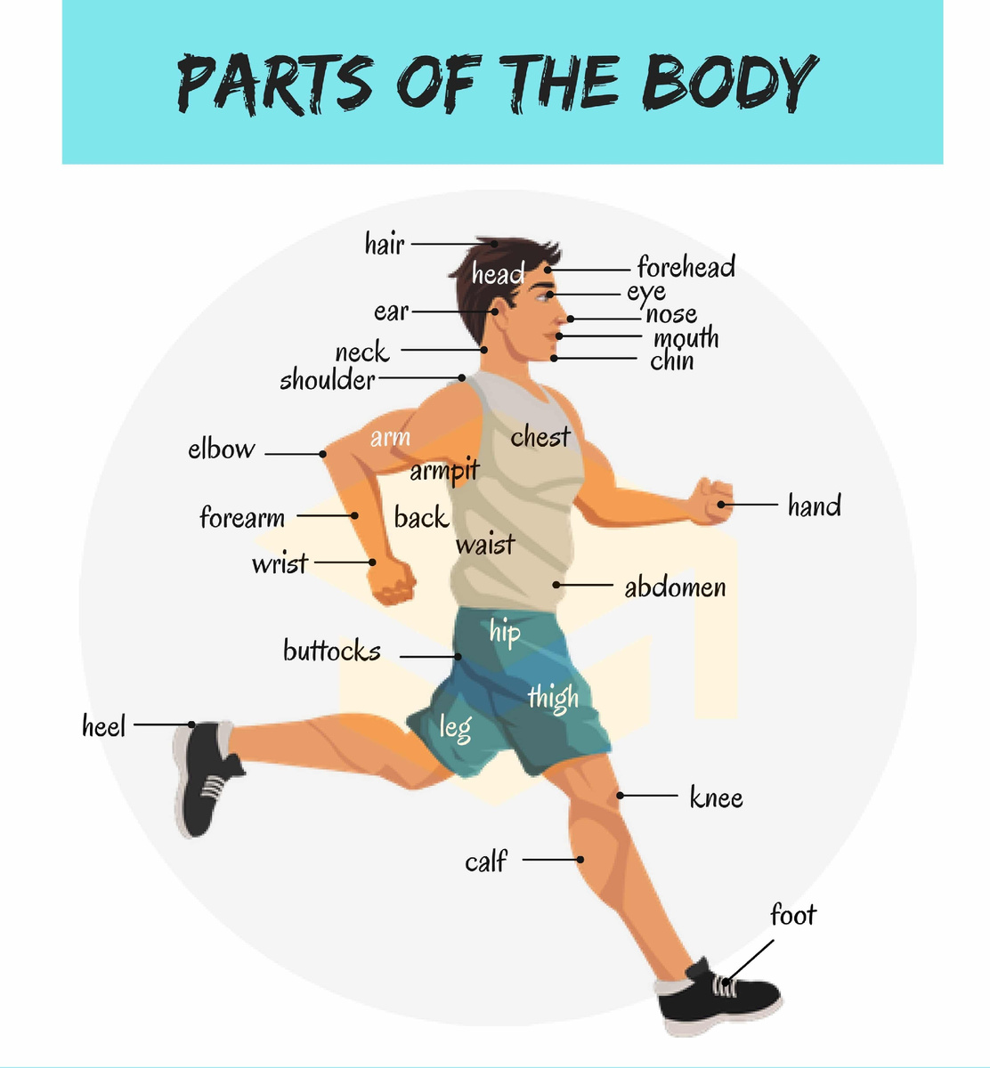 Body main link