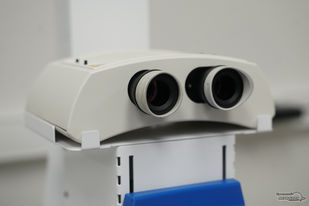    Фото: Лидия Аникина © ИА «Уральский меридиан»