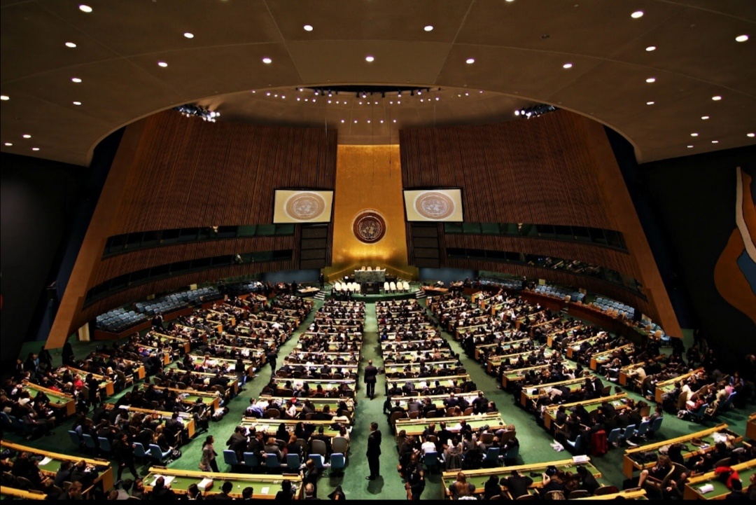 Заседание ООН. Фото из открытых источников 