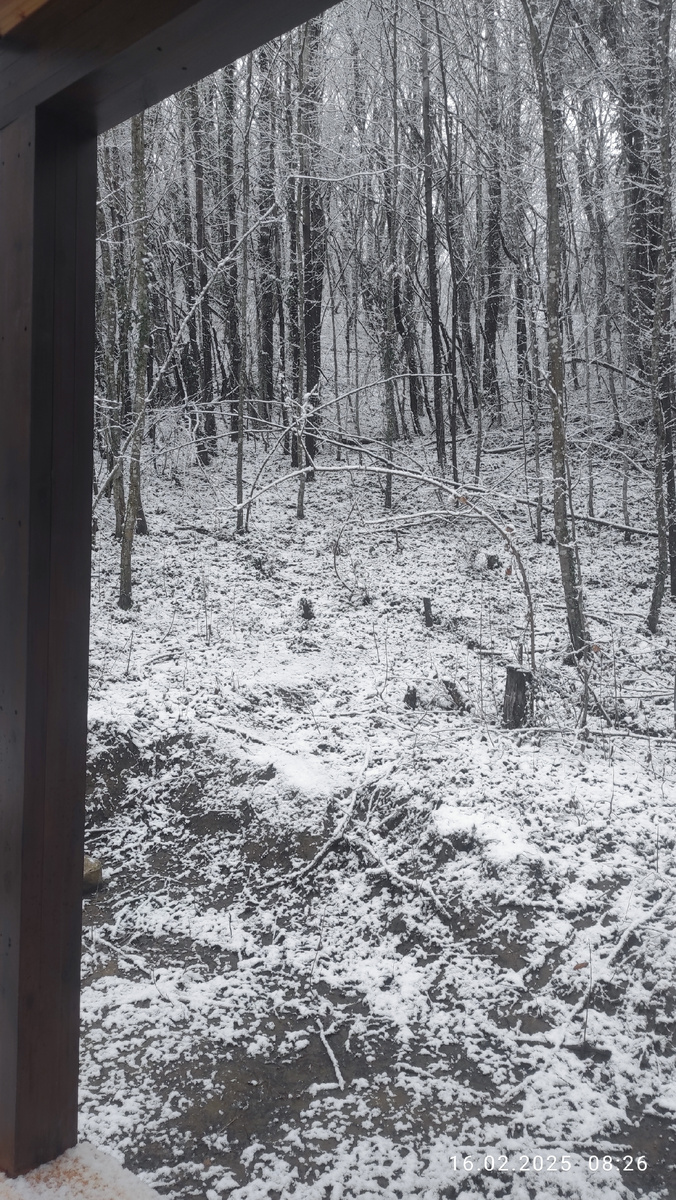 Справа от террасы...