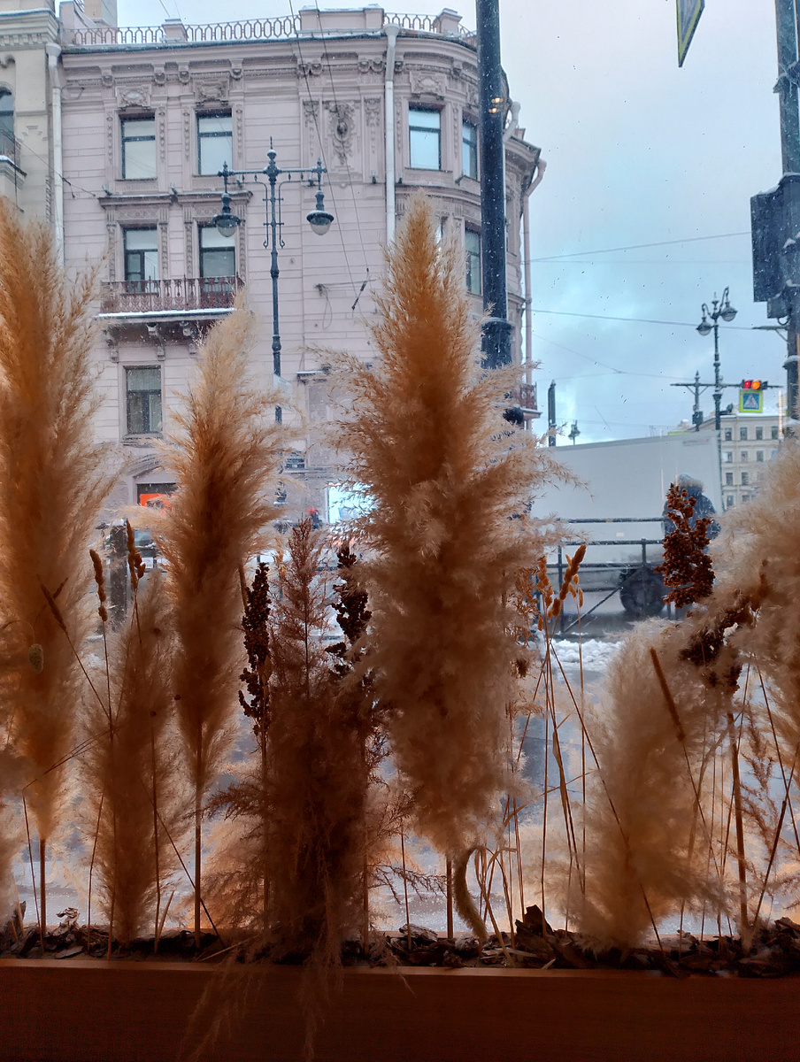 Здесь и далее фото из личного архива автора. 