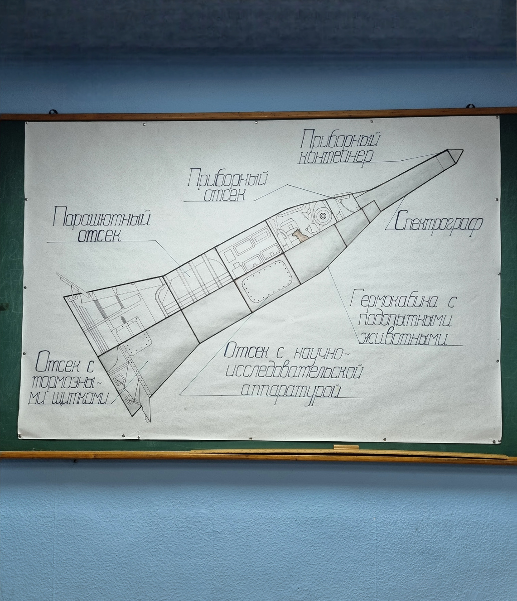 Фото автора статьи.