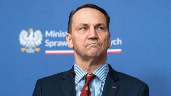    В Варшаве ответили на призыв Зеленского о создании единой европейской армии Ирина Петрова