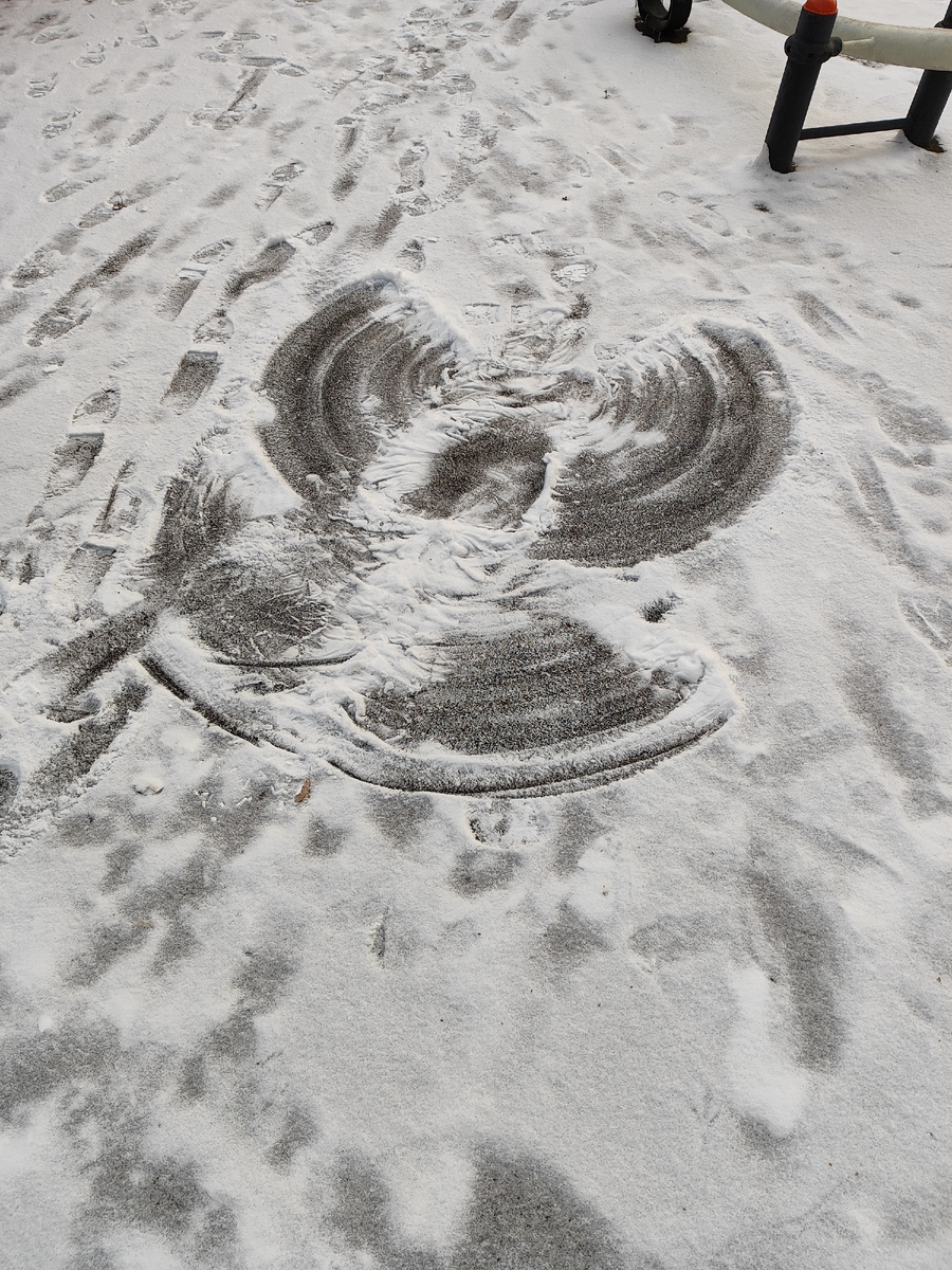 Снежные ангелы в Москве