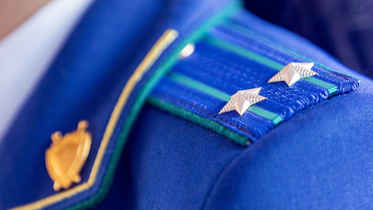    Фото: Aleksey Smyshlyaev/globallookpress.com