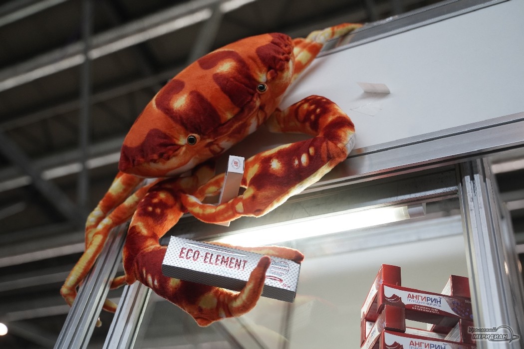    Фото: Лидия Аникина © ИА «Уральский меридиан»