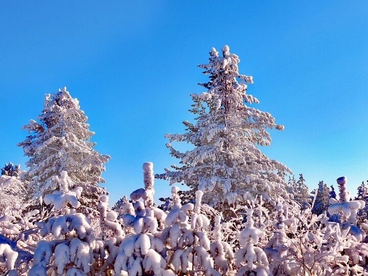   МК в Бурятии