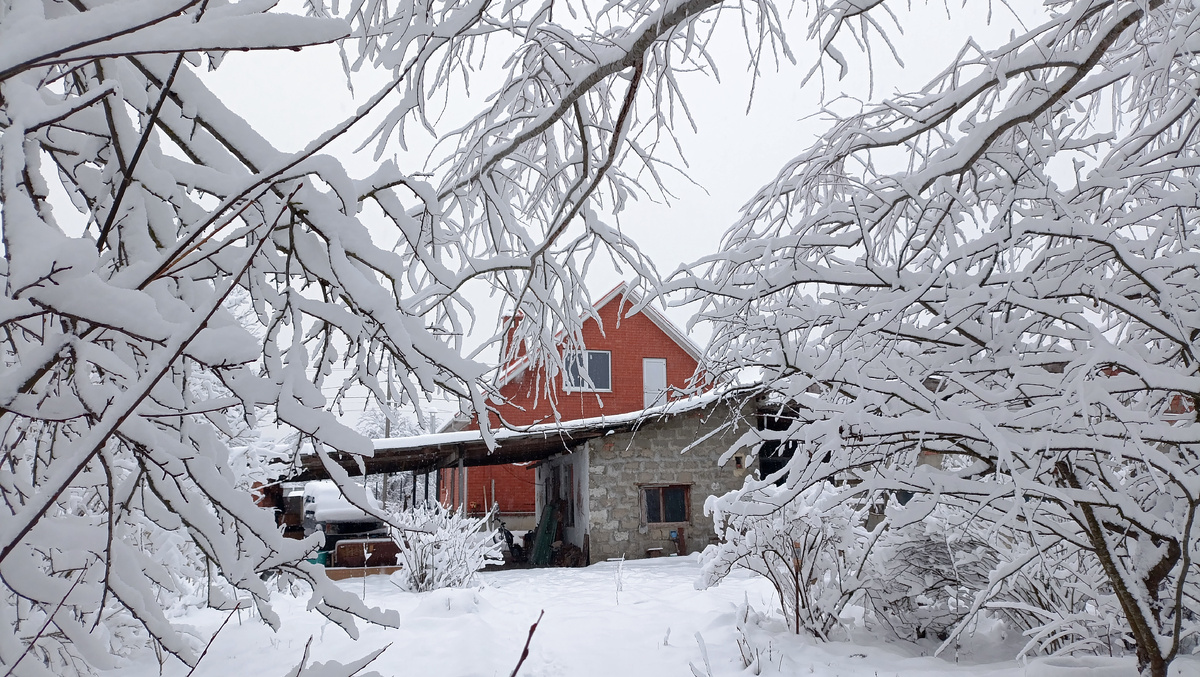 Вид на наш дом с участка сегодня 16.02.2025 