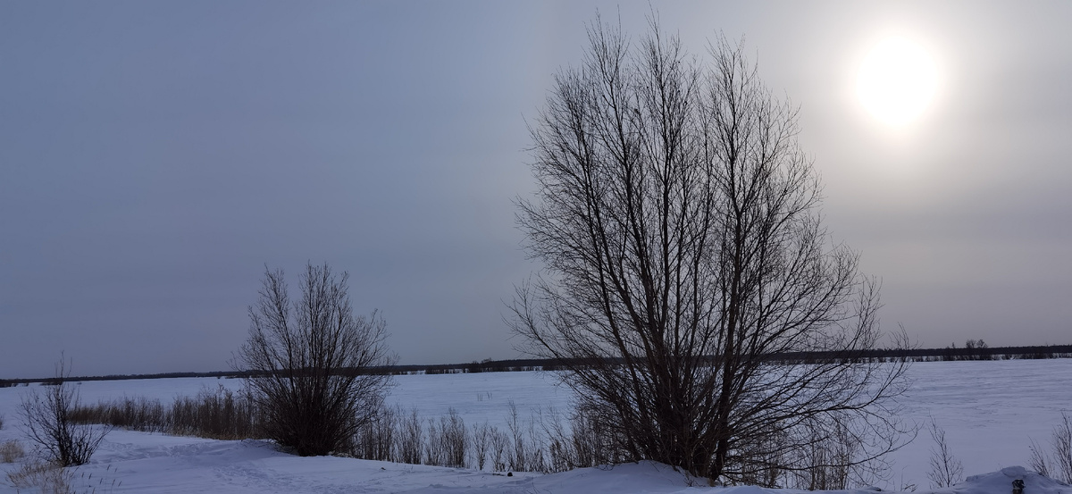 февральский пейзаж