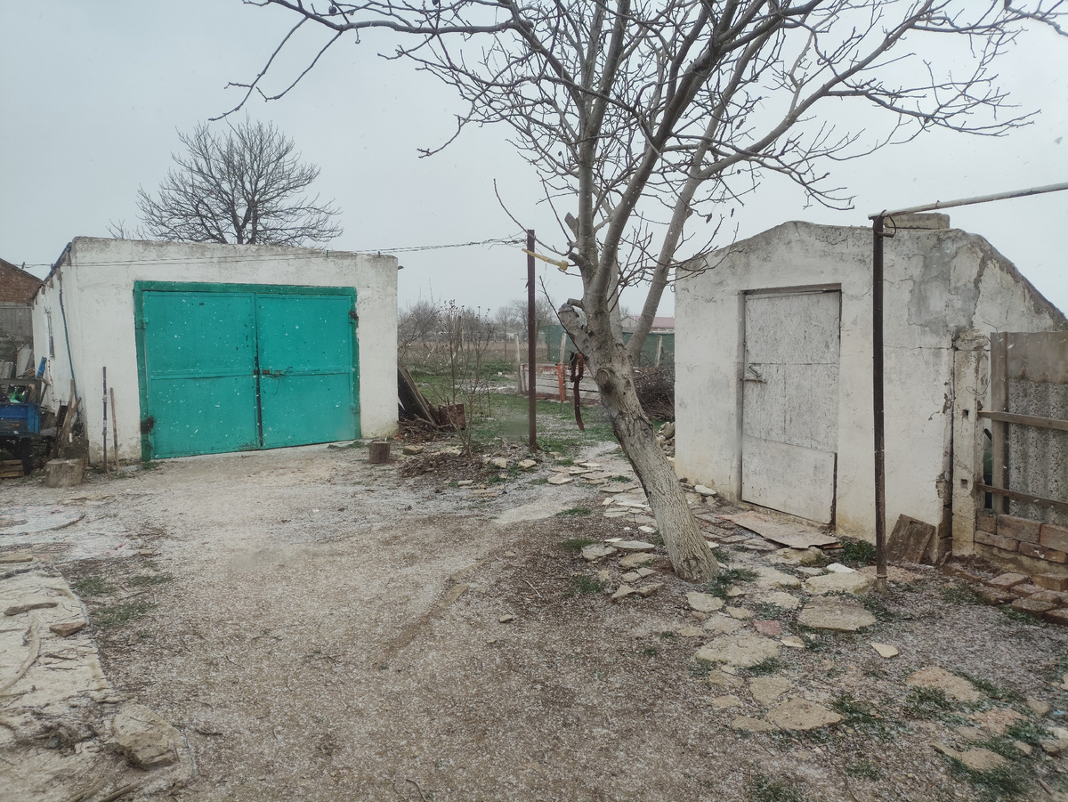 Утренняя метель. Начало