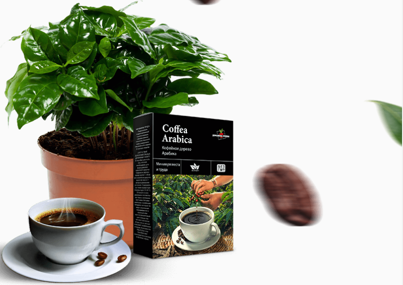 источник: http://arabika.zhizn-v-stile.ru