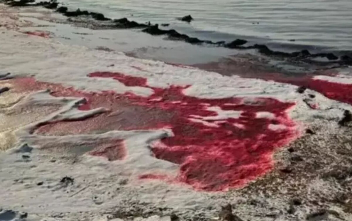 Фото: департамент экологии Мангистауской области