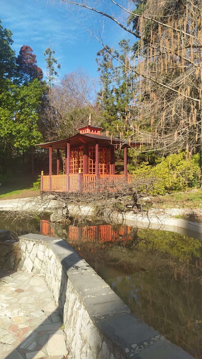японский садик Сочи