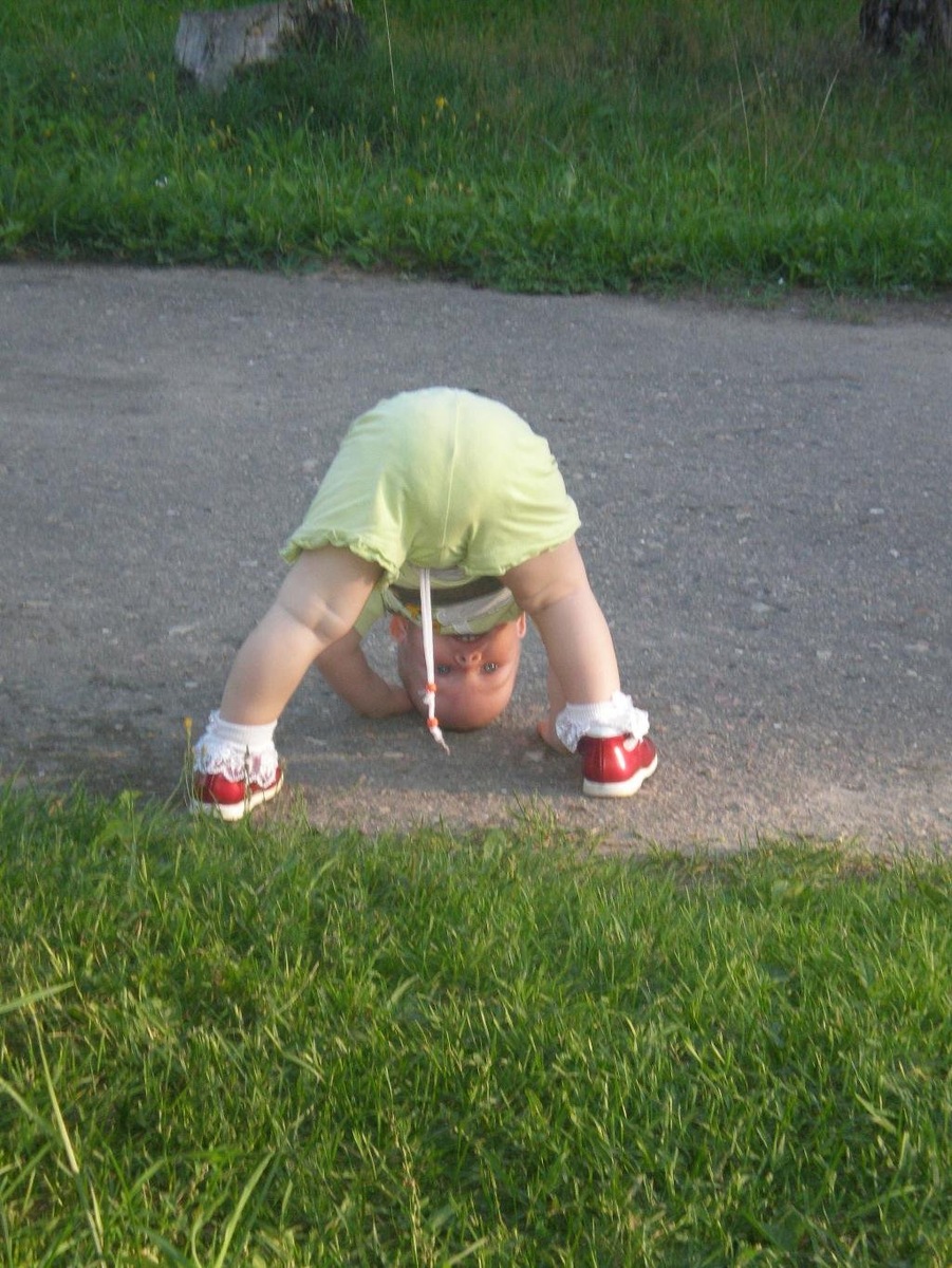 Фото из интернета. На зарядку становись!