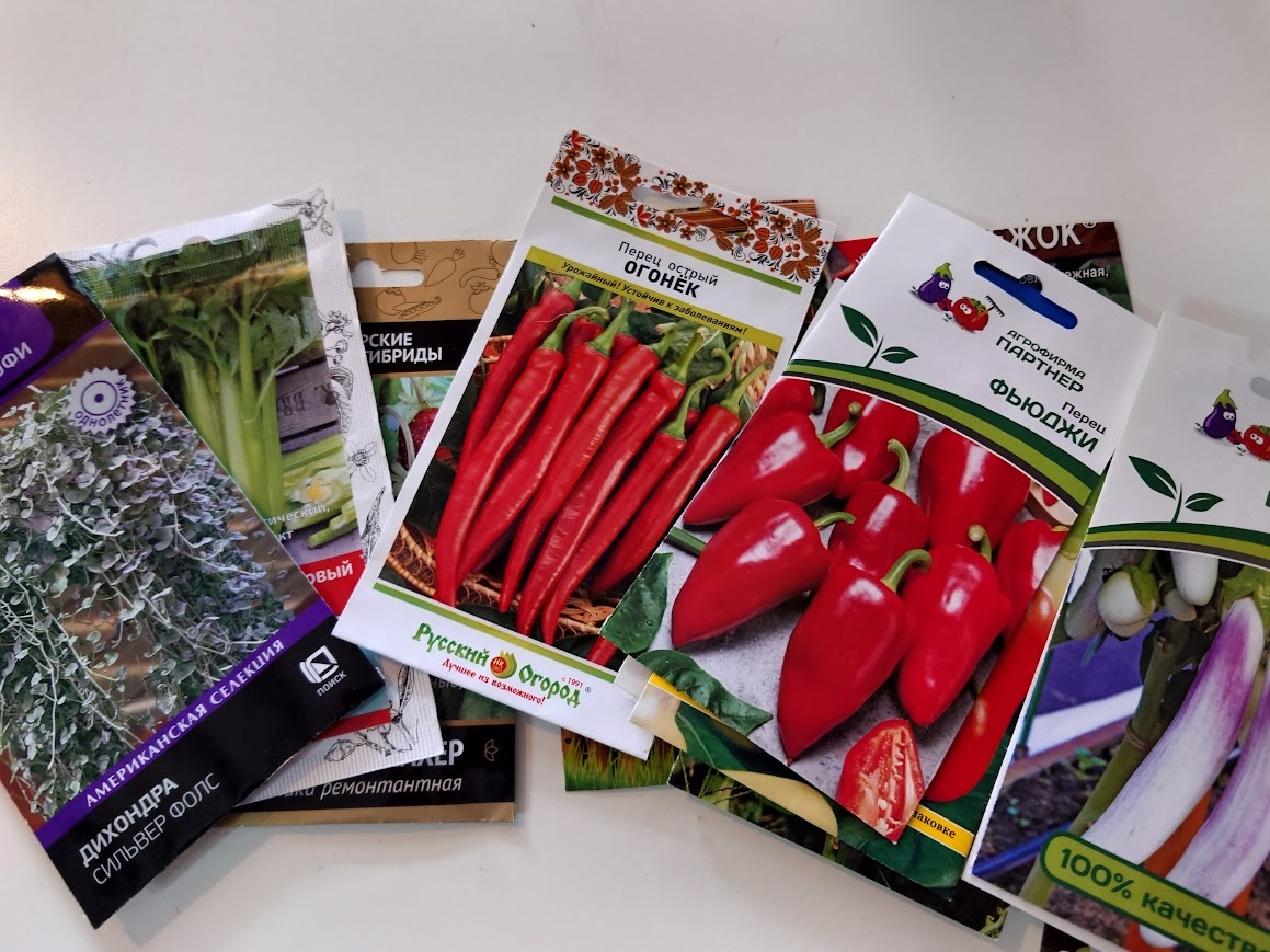 Мои посадки на сегодня