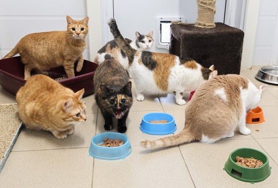    Алексей Белкин/NEWS.ru