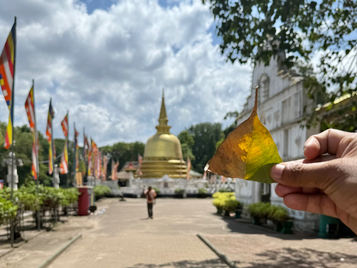 Ступа в золотом храме Дамбуллы