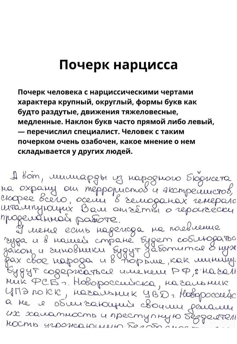 фото из открытого источнка Яндекс 