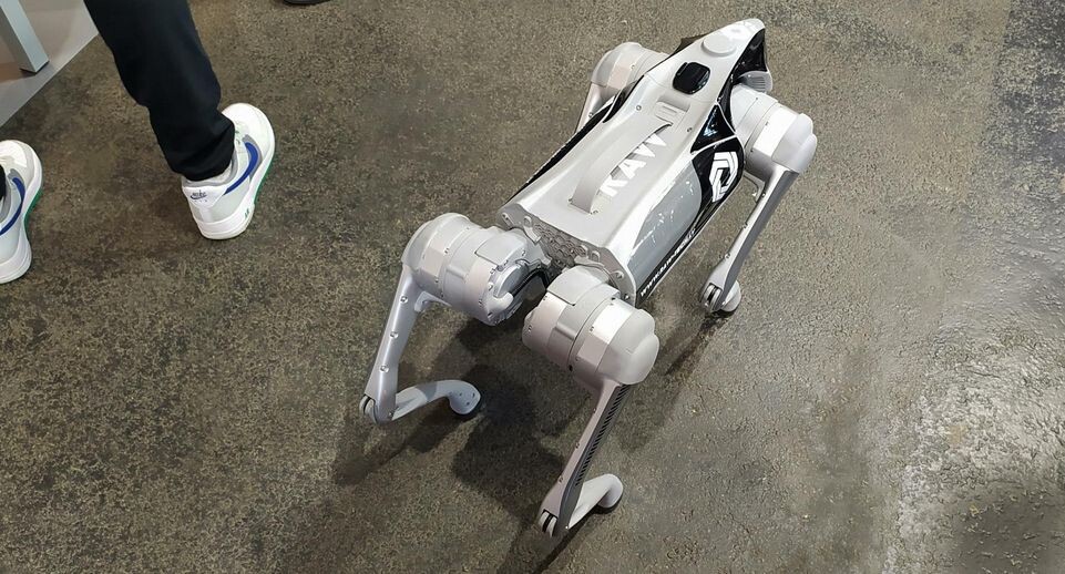    Victor Lisitsyn / Global Look Press