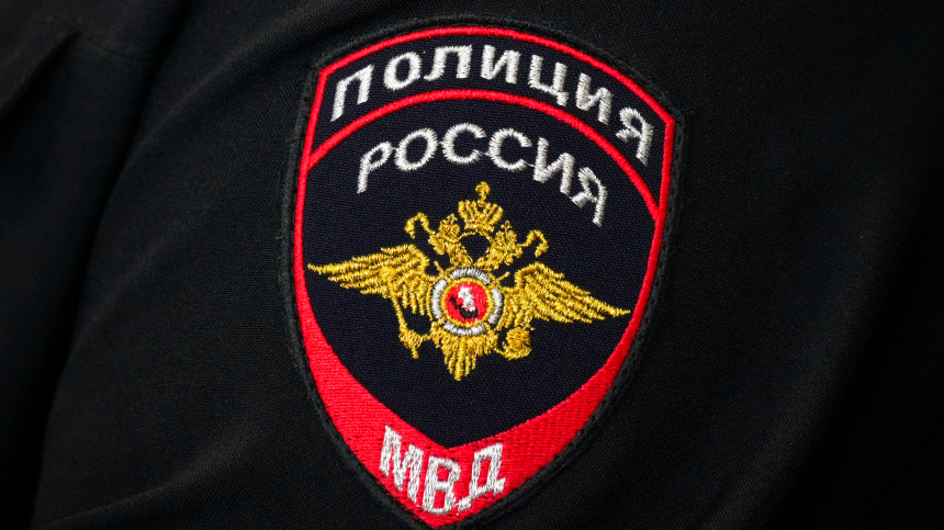    Фото: ИЗВЕСТИЯ/Дмитрий Коротаев; 5-tv.ru