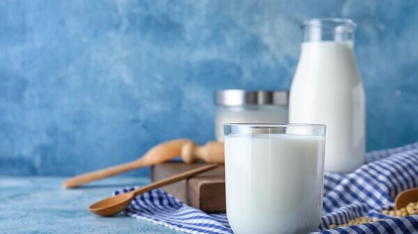    © Photo : Stock.adobe / Pixel-Shot