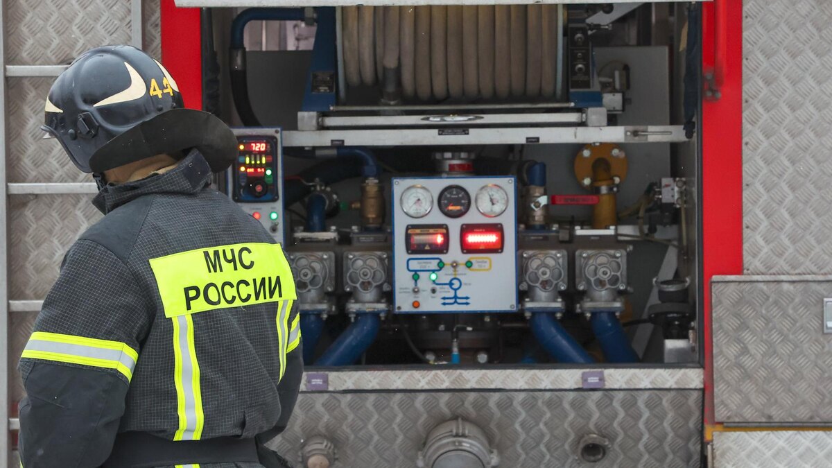    Фото: Belkin Alexey/news.ru/globallookpress.com