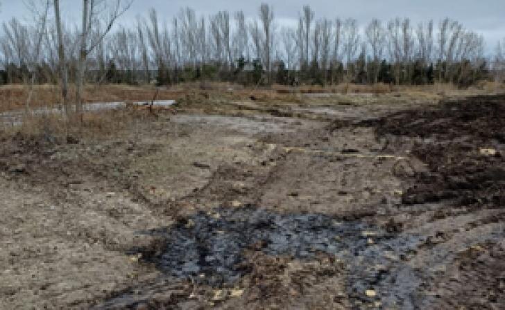    Фото: управление РСН по Орловской и Курской областям