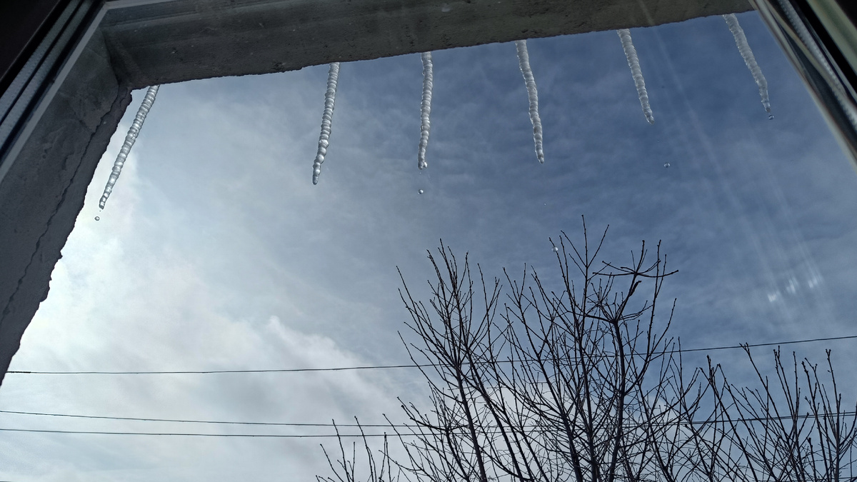 Здесь они ещё маленькие. А после обеда наросли огромные!