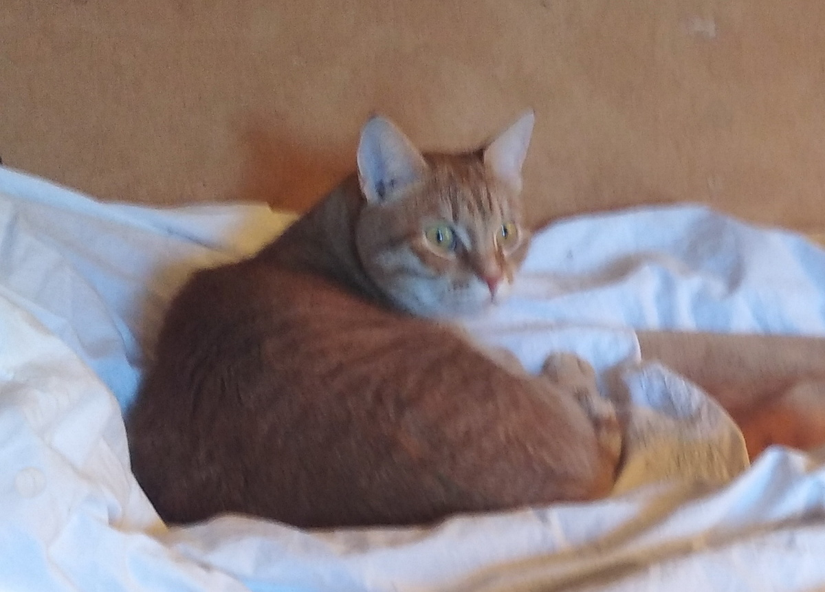 Личное фото