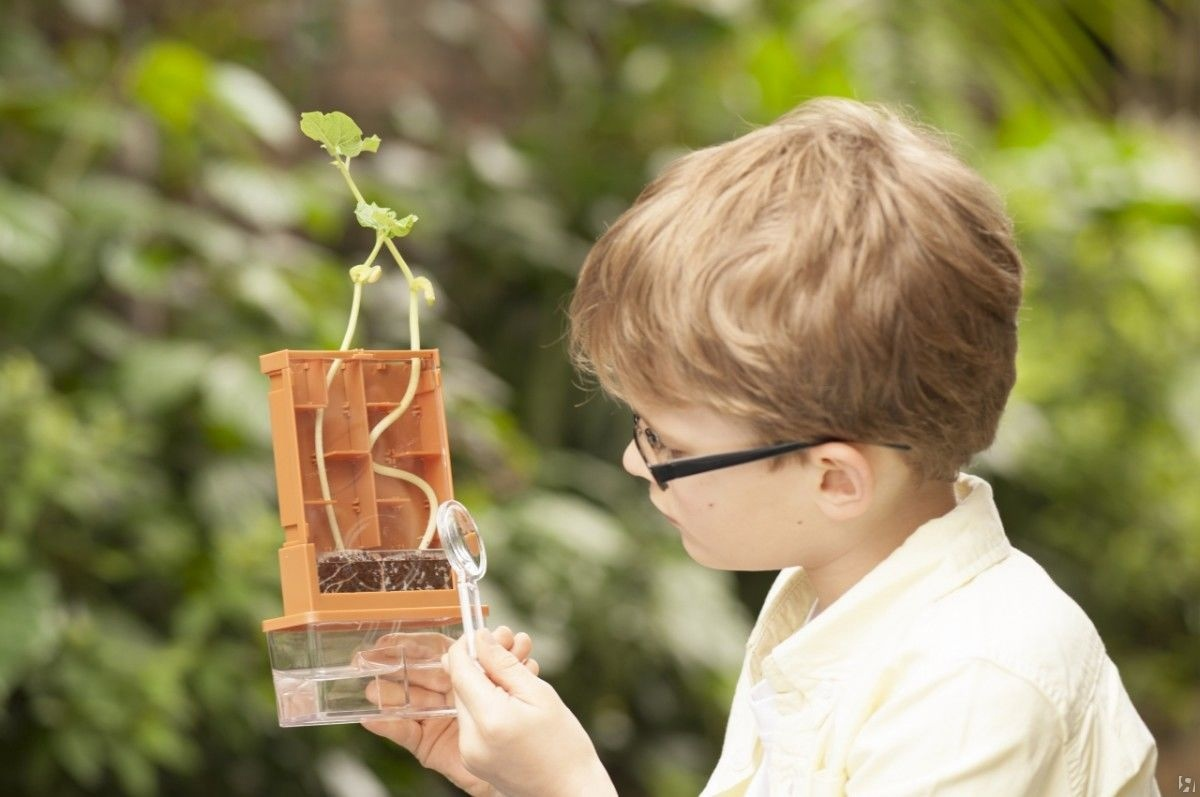 Тянется вверх через все преграды!