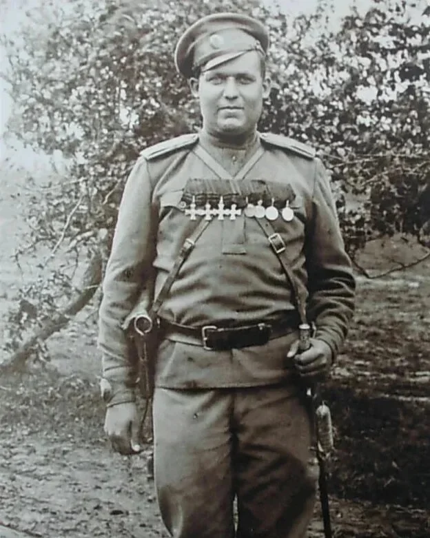 Грудь в крестах или голова в кустах... 4 георгиевские медали и 4 георгиевских креста