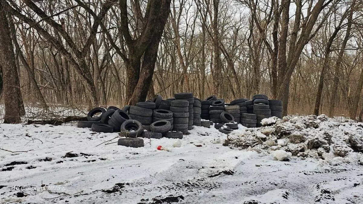     Источник: rostovgazeta.ru