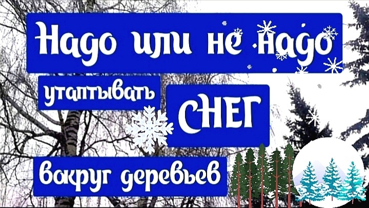 Расскажу про свой опыт