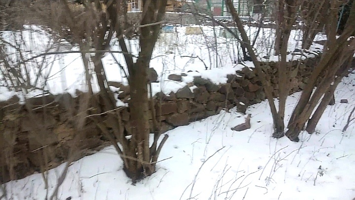 Выпал первый снег