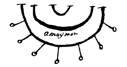 Сигил Амаймона согласно книге Поука Раньона «Book of Solomons Magick»