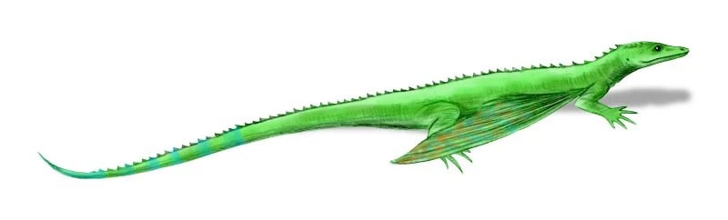 Раутиания (Rautiania Bulanov and Sennikov, 2006)